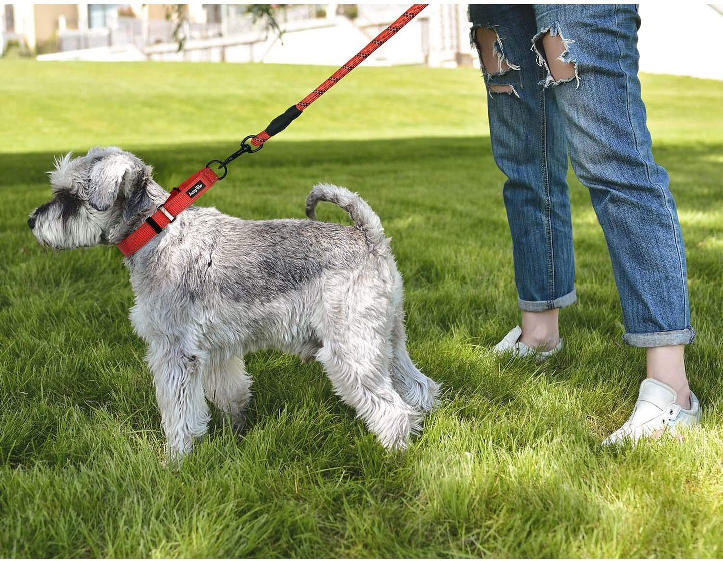 2 Packs Martingale Dog Collar with Quick Release Buckle Reflective Dog Training Collars for Small Medium Large Dogs